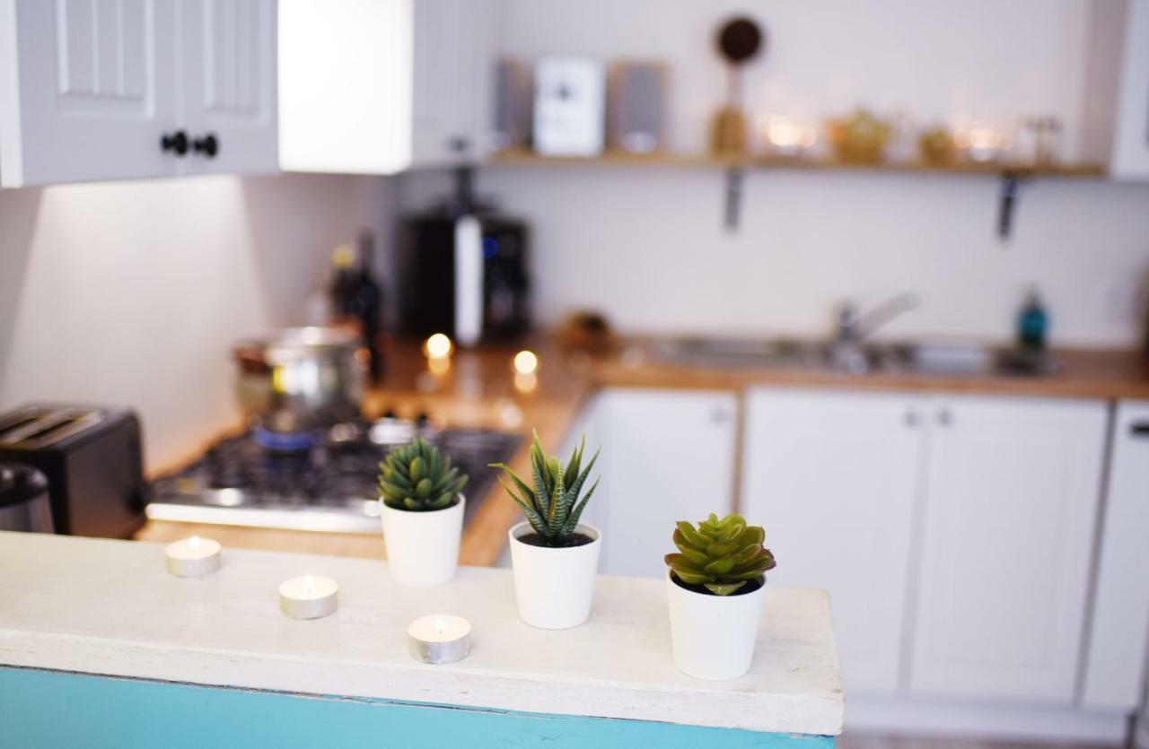 Blue Apartament Luboń エクステリア 写真